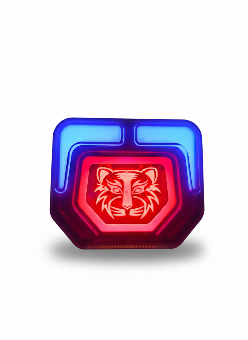 Tiger Back Light for Motorcycle CD70/CG125