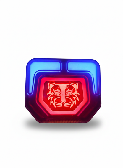 Tiger Back Light for Motorcycle CD70/CG125